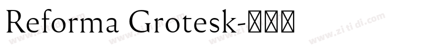 Reforma Grotesk字体转换
